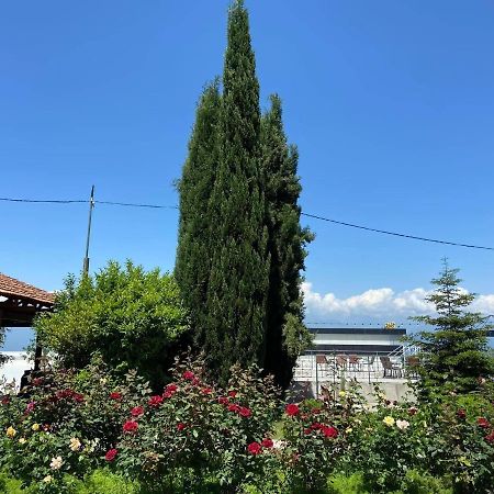 Alazani Valley Hotel Telavi Buitenkant foto