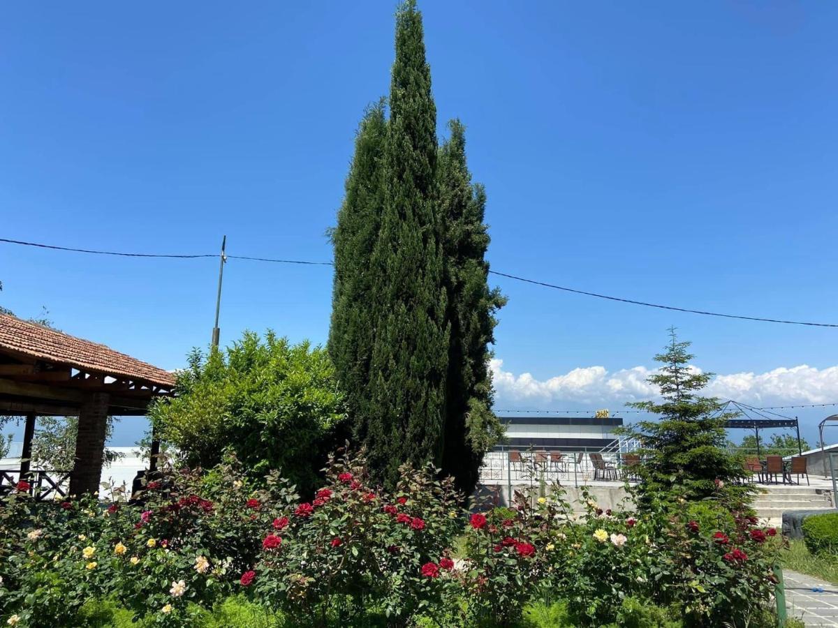 Alazani Valley Hotel Telavi Buitenkant foto